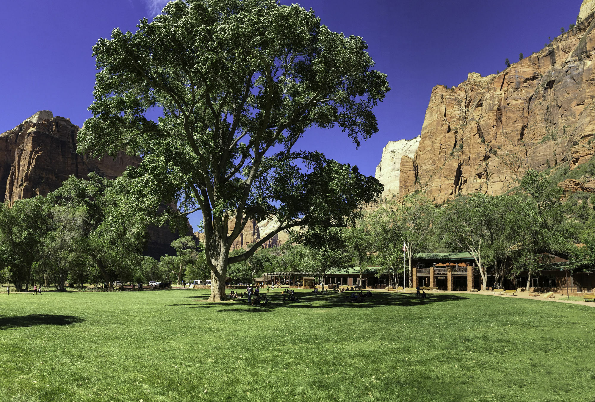 Zion Lodge Springdale Dış mekan fotoğraf