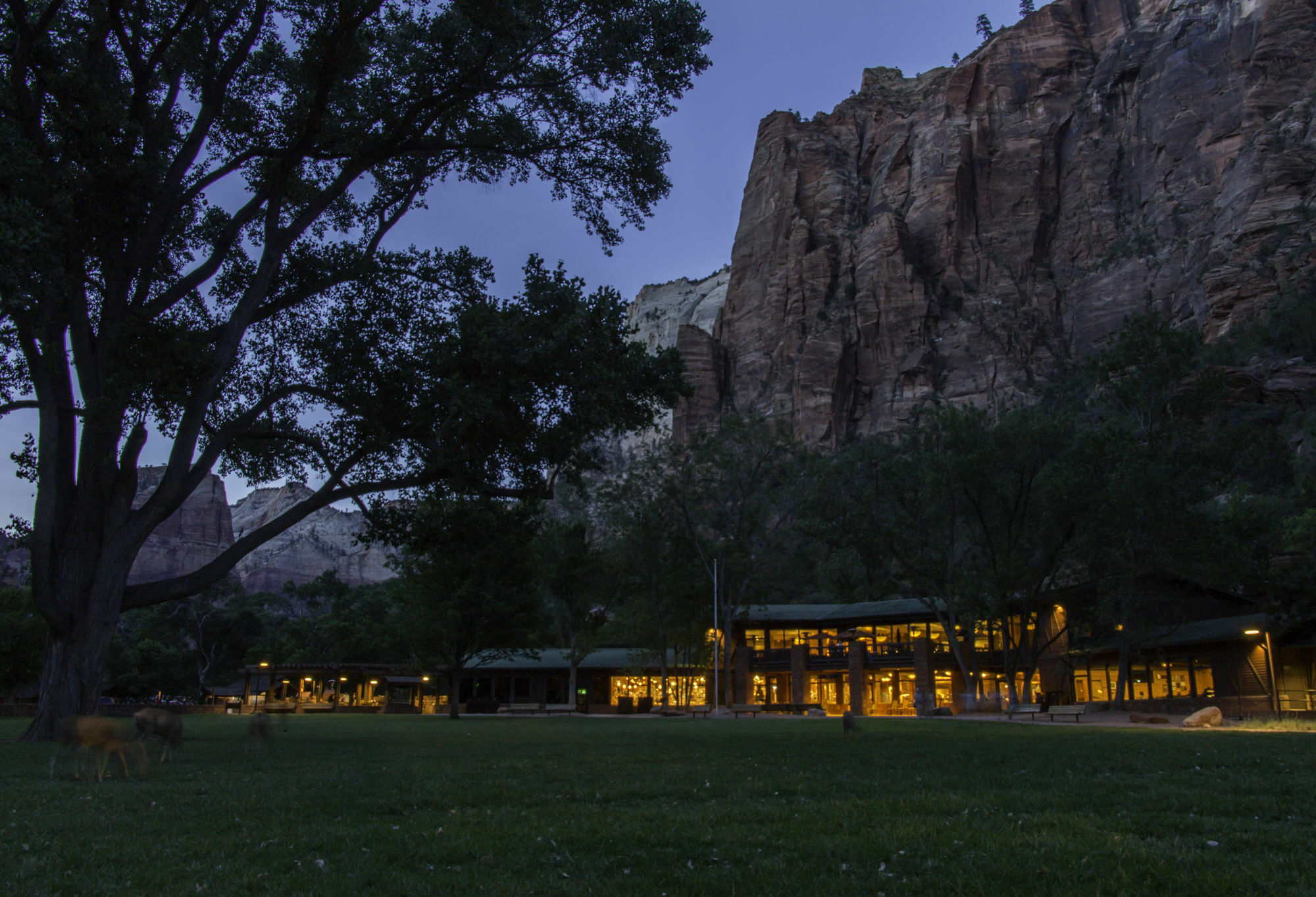 Zion Lodge Springdale Dış mekan fotoğraf